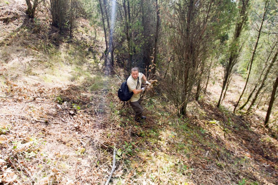 Kariuomenės neprisišaukė – padėjo mokinukai