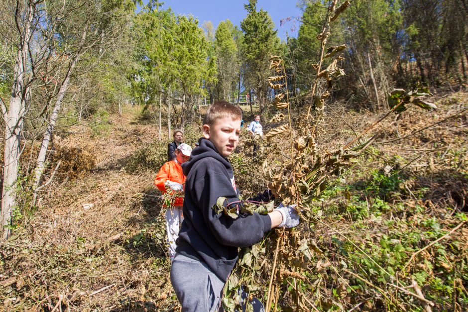 Kariuomenės neprisišaukė – padėjo mokinukai