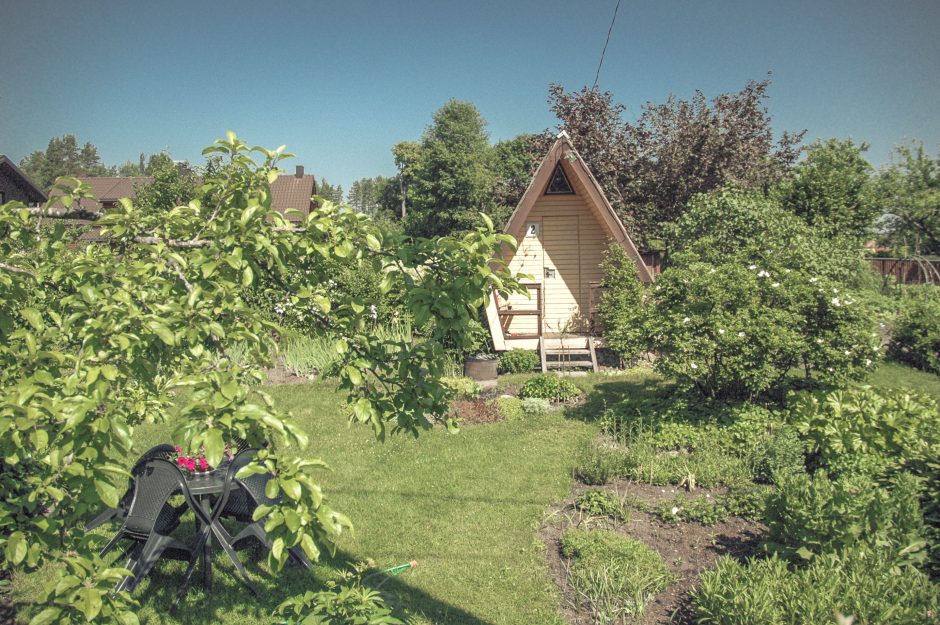 Kūrėjų vizijose kolektyvinis sodas virsta miestiečių rojumi