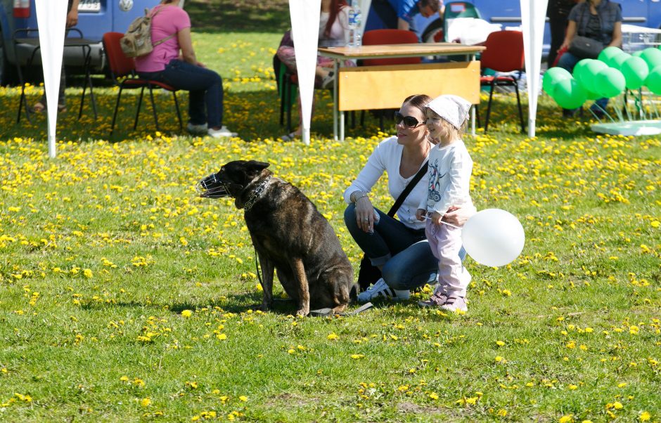 Santakos parke rinkosi šunys, poniai, alpakos