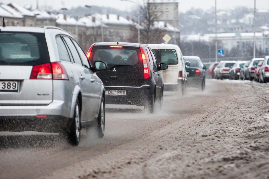 Sugrįžusi žiema bėdų nepridarė