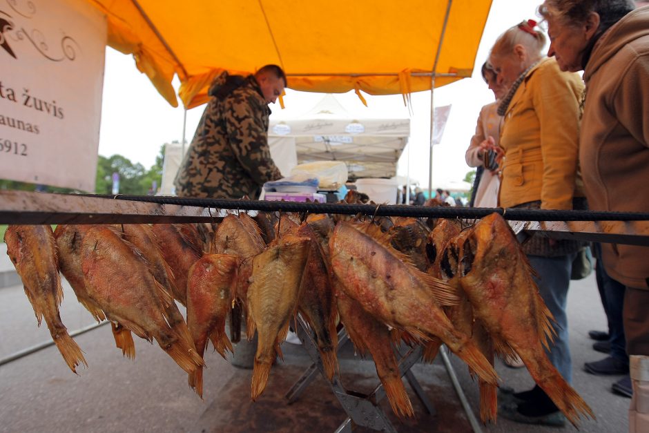 „Sprendimų ratas“ sukasi jau aštuntą kartą 