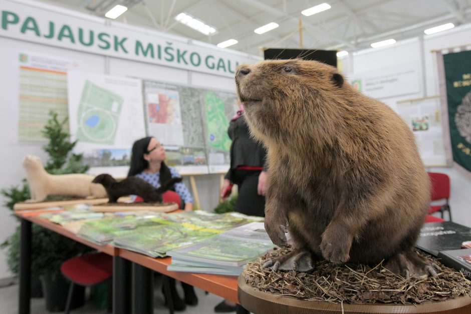 „Sprendimų ratas“ sukasi jau aštuntą kartą 