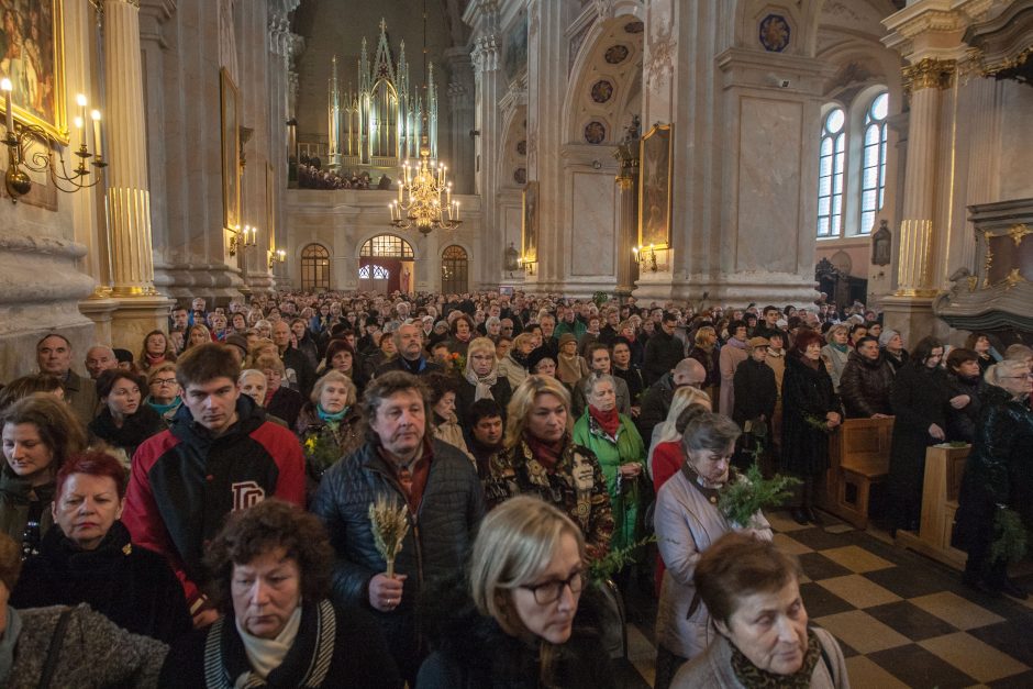 Katalikai švenčia Verbų sekmadienį 