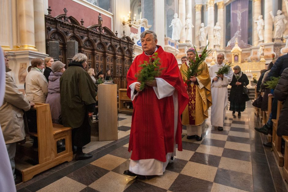 Katalikai švenčia Verbų sekmadienį 