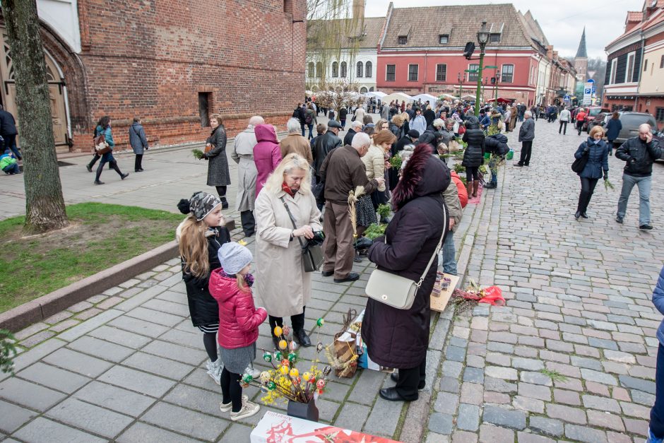 Katalikai švenčia Verbų sekmadienį 