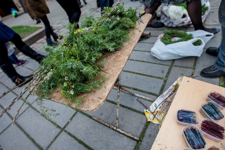 Katalikai švenčia Verbų sekmadienį 