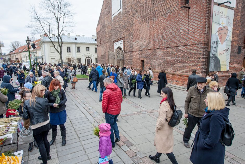 Katalikai švenčia Verbų sekmadienį 