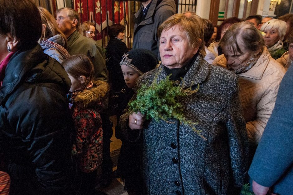 Katalikai švenčia Verbų sekmadienį 