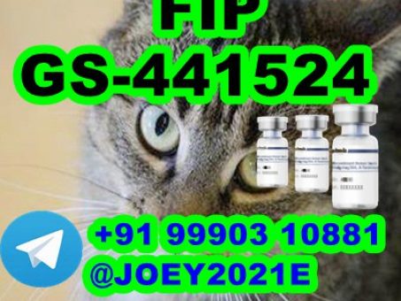 Skelbimas -  GS-441524 cat Fip Feline Infectious Peritonitis