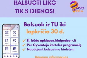 „Tavo idėja“: balsuoti liko vos penkios dienos!