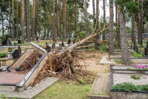 Praūžusi audra nusiaubė ir Panevėžio kapines: išvartyti paminklai, nuvirto medžiai