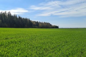 Įsibėgėja pasėlių ir naudmenų deklaravimas – žemdirbiai raginami jo neatidėlioti