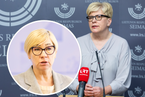 I. Šimonytė: nėra pagrindo daryti išvadą, kad ministrė piktnaudžiavo išmokomis