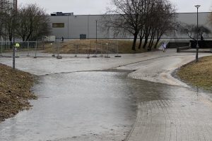 Balos Sakurų parke kelia abejonių darbų kokybe