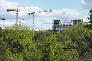 NT rinkoje numatomi dar vieni stabilių kainų metai