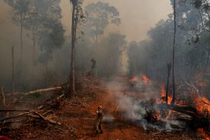 Sakyti, kad Amazonija yra žmonijos paveldas – klaidinga