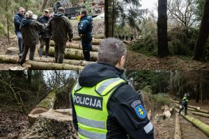 Gyventojai stoja prieš nelegalų medžių kirtimą rekreaciniame miške: pjauna viską 